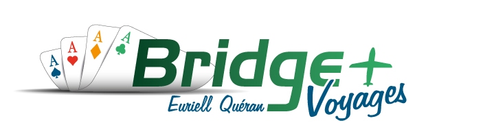 Image(Bridge-plus)